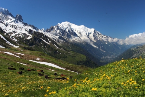 Какая гора самая высокая в Альпах?